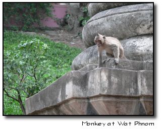 Monkey at Wat Phnom