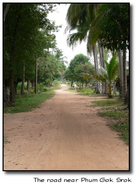 Dirt road near Phum Gok Srok