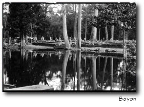 Bayon